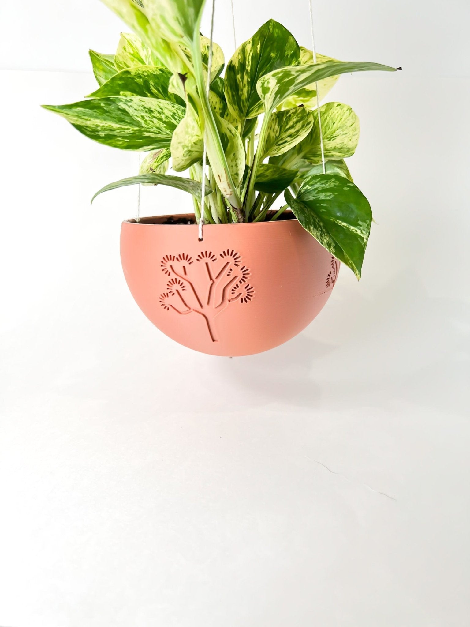 Hanging Joshua Tree Planter – Pots & Planters