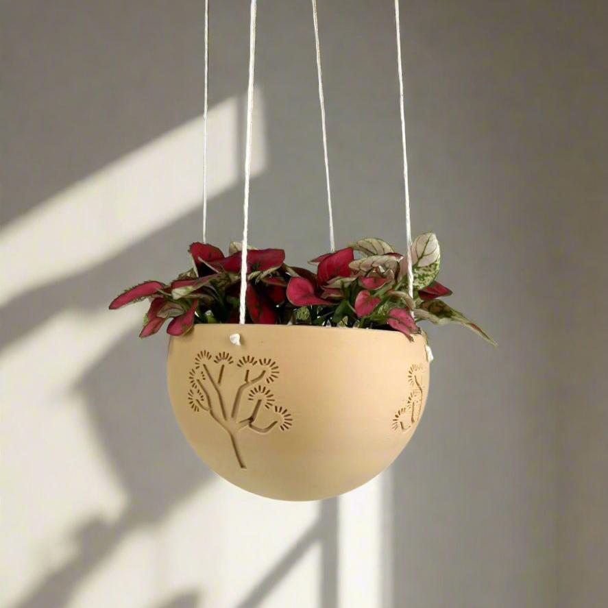 Hanging Joshua Tree Planter – Pots & Planters