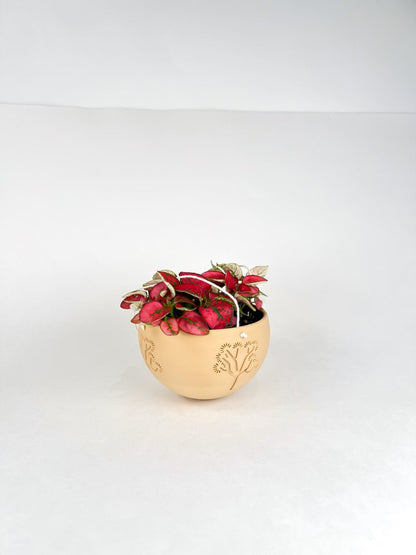 Hanging Joshua Tree Planter – Pots & Planters