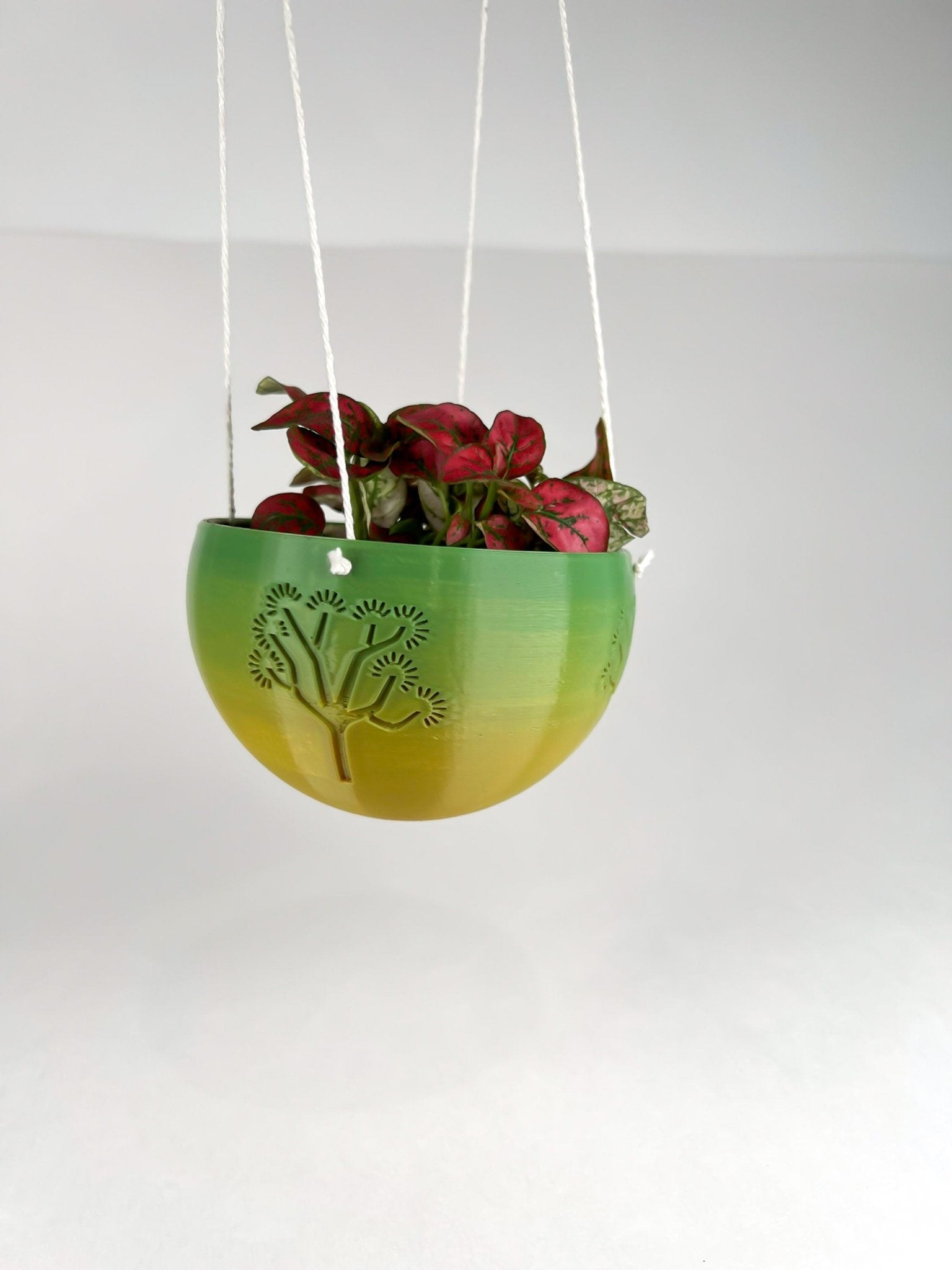 Hanging Joshua Tree Planter – Pots & Planters