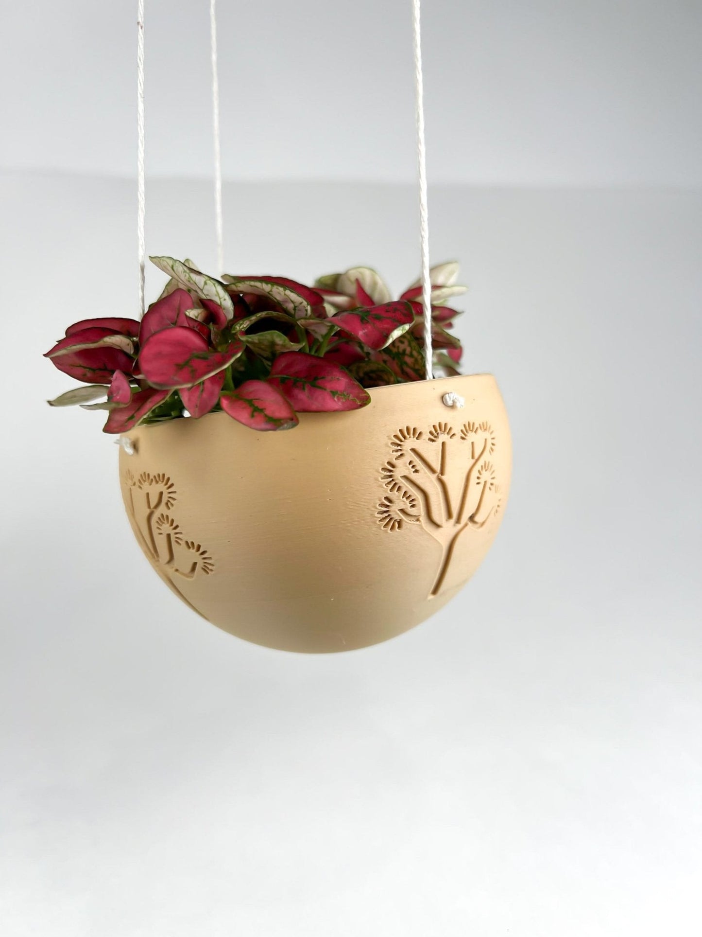Hanging Joshua Tree Planter – Pots & Planters