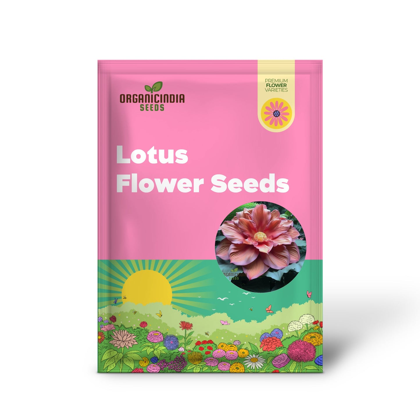 Lotus Flower Seeds – Stunning Resilient Blooms for Gardening