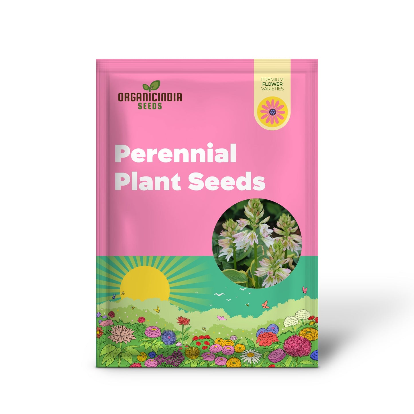 Mixed Hosta Jordan Seeds – Perennial Shade Garden Plant for Landscaping & Ground Cover