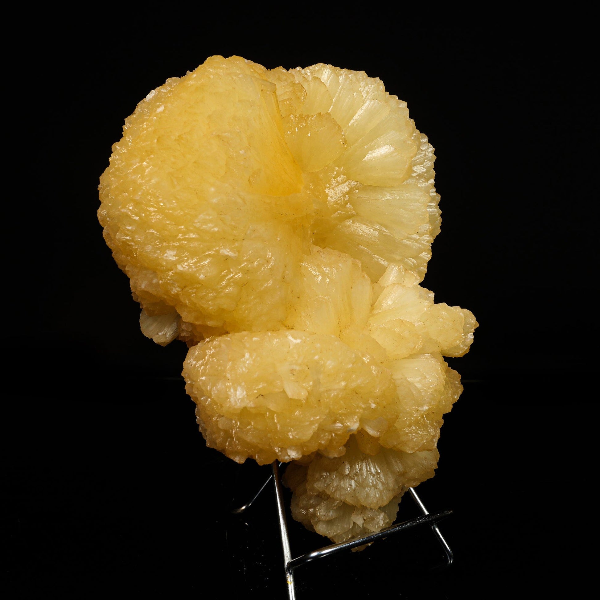 Huge Stilbite 'Bow-Tie' Natural Mineral Specimen – Stilbite