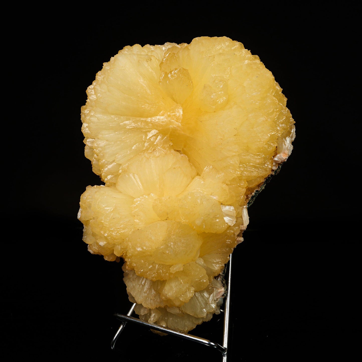 Huge Stilbite 'Bow-Tie' Natural Mineral Specimen – Stilbite