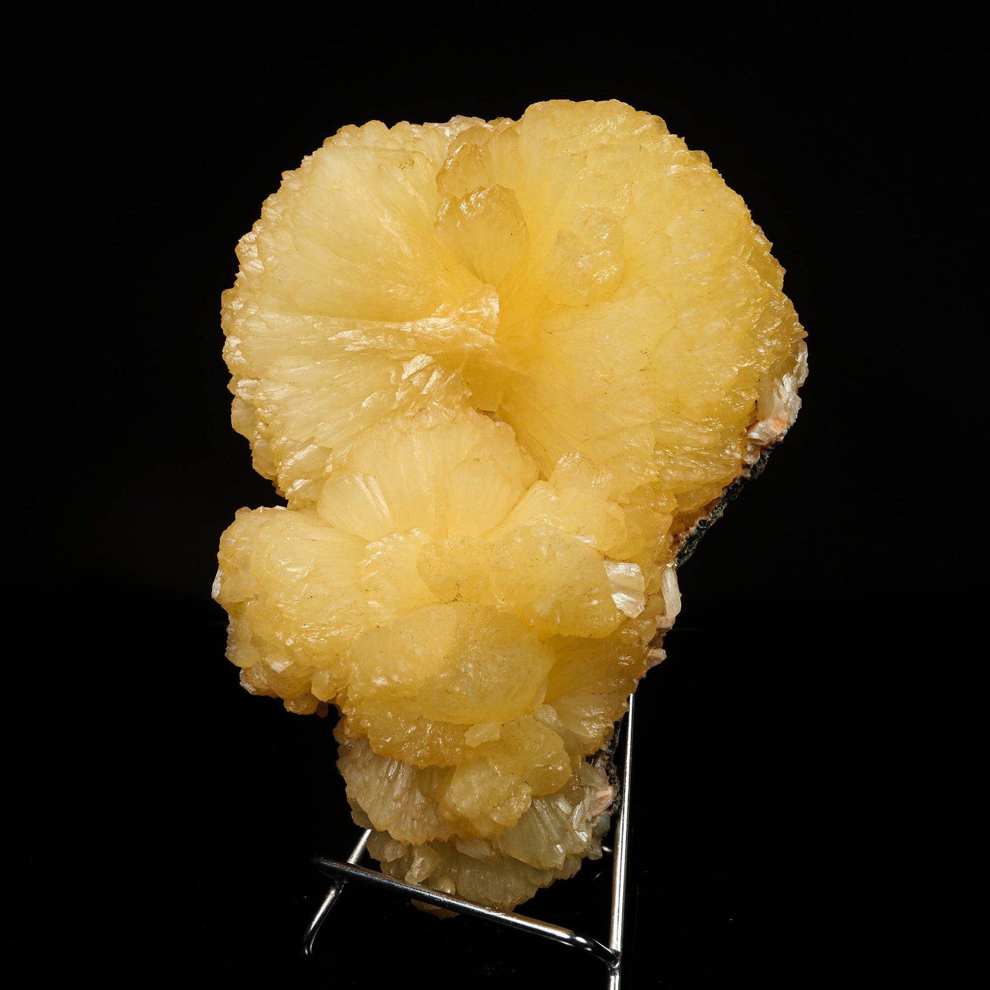 Huge Stilbite 'Bow-Tie' Natural Mineral Specimen – Stilbite