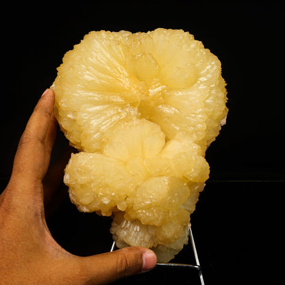 Huge Stilbite 'Bow-Tie' Natural Mineral Specimen – Stilbite