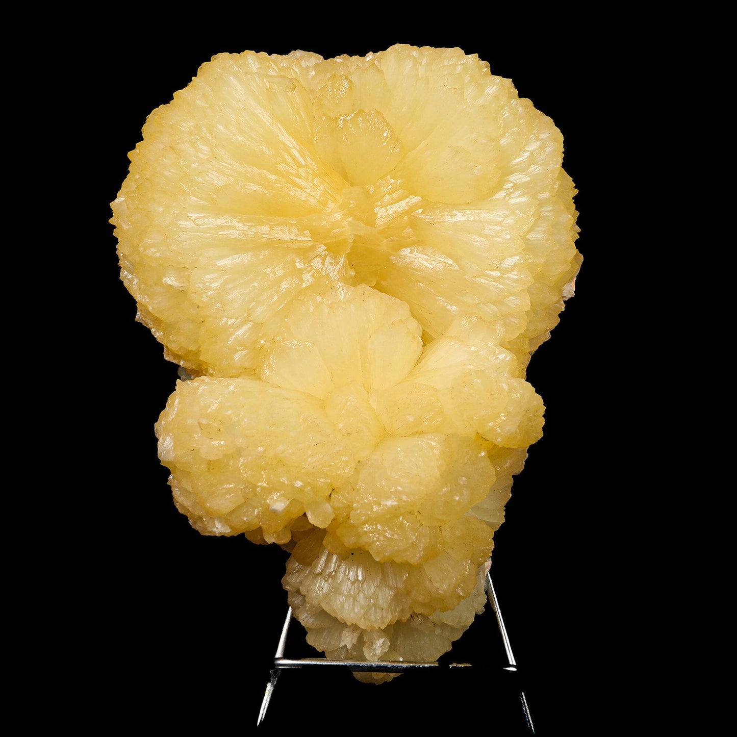 Huge Stilbite 'Bow-Tie' Natural Mineral Specimen – Stilbite