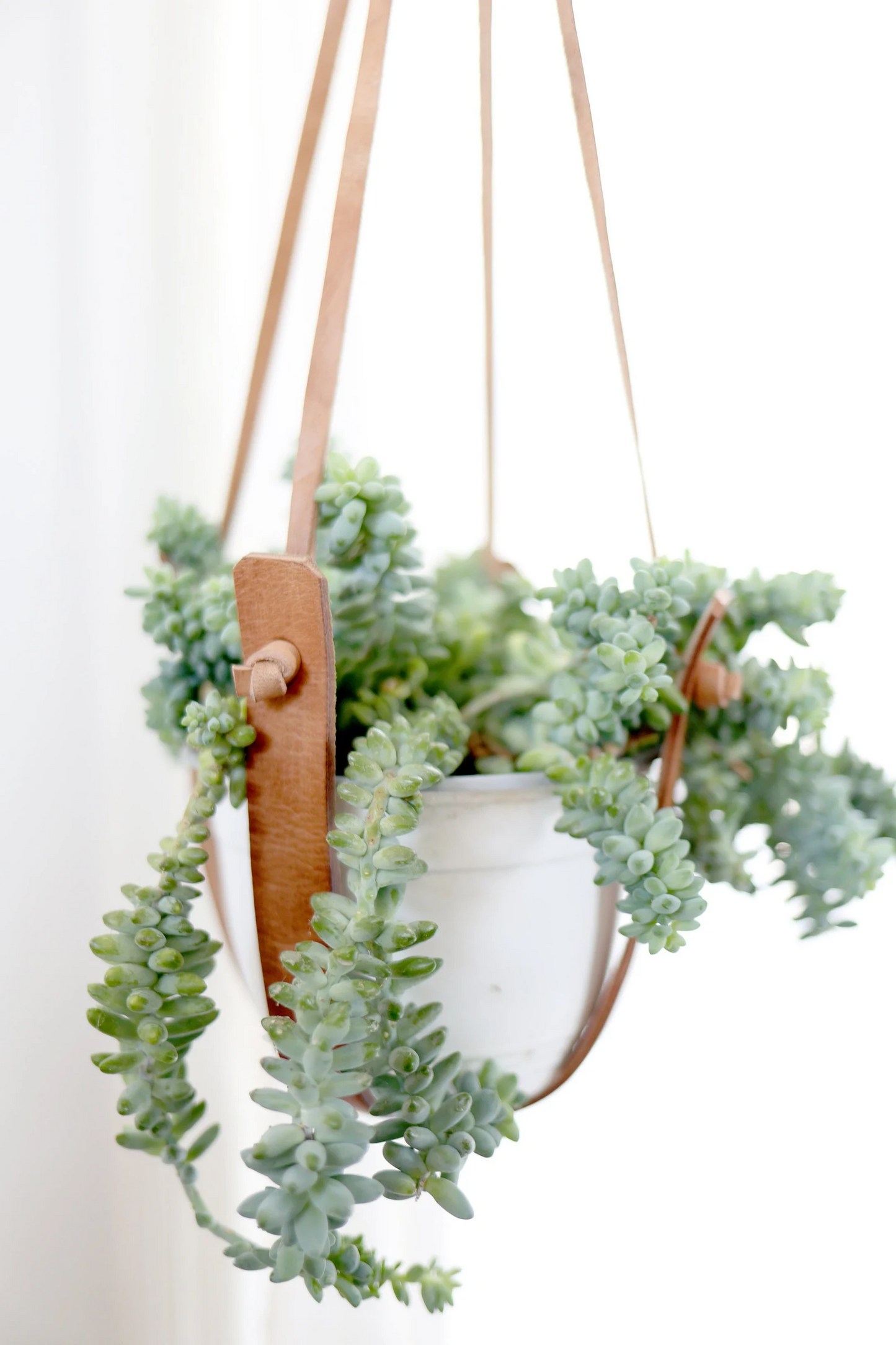 Small Flourish Plant Hanger – plant hanger