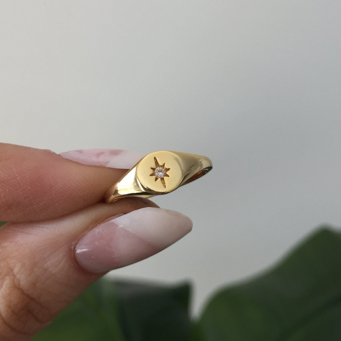 The North Star Ring – Rings
