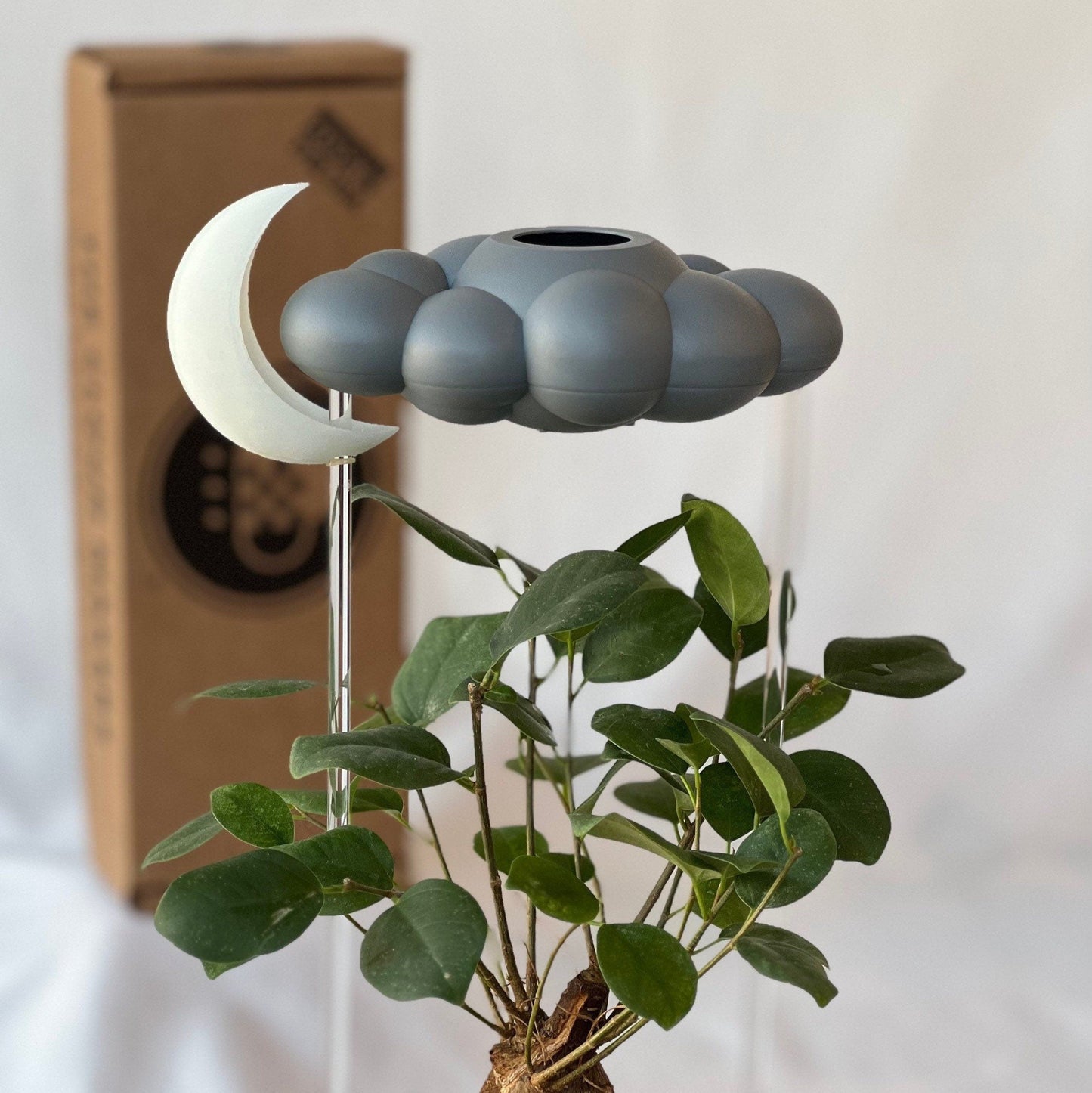 Stormy Dripping Rain Cloud with Glow in the Dark Moon Charm – House Plant Accessory