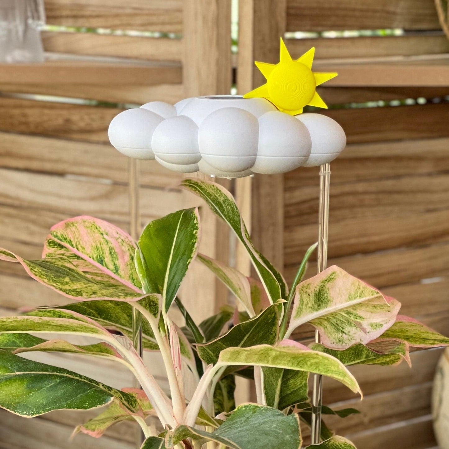 Original Dripping Rain Cloud with Sun Charm – houseplant accessory