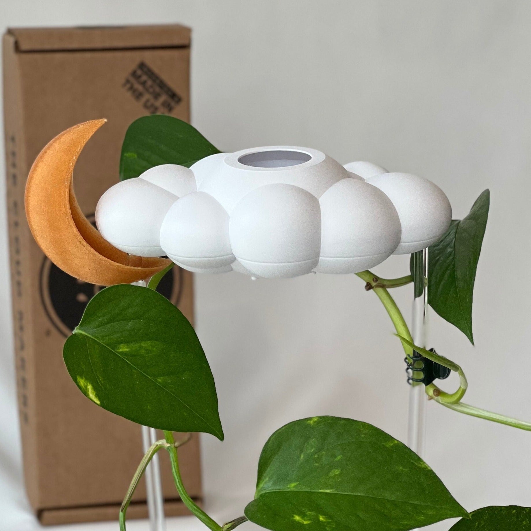Original Dripping Rain Cloud with Moon Charm – houseplant accessory