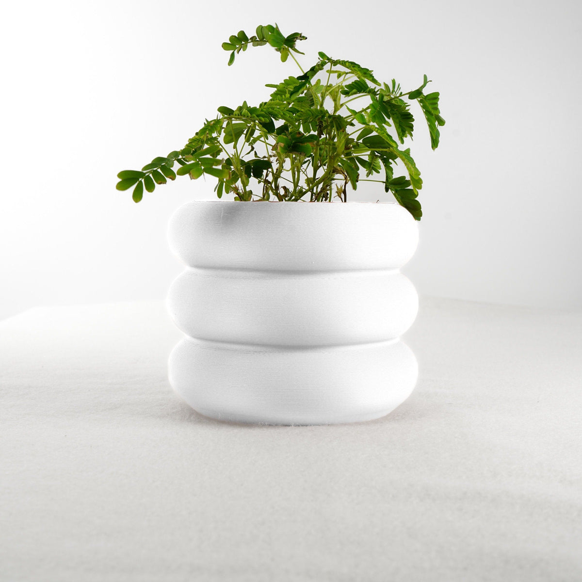 Hanging Bubble Planter with Hemp Cord | 4–9 Inch Plant Pot