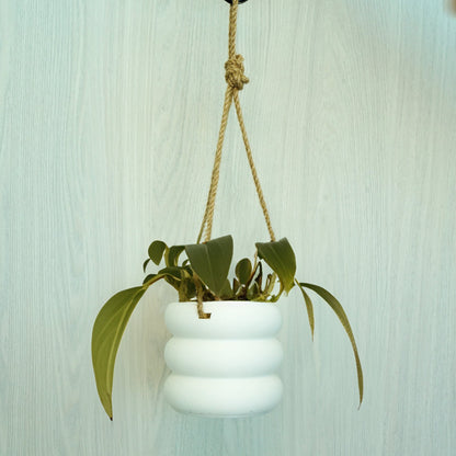 Hanging Bubble Planter with Hemp Cord | 4–9 Inch Plant Pot