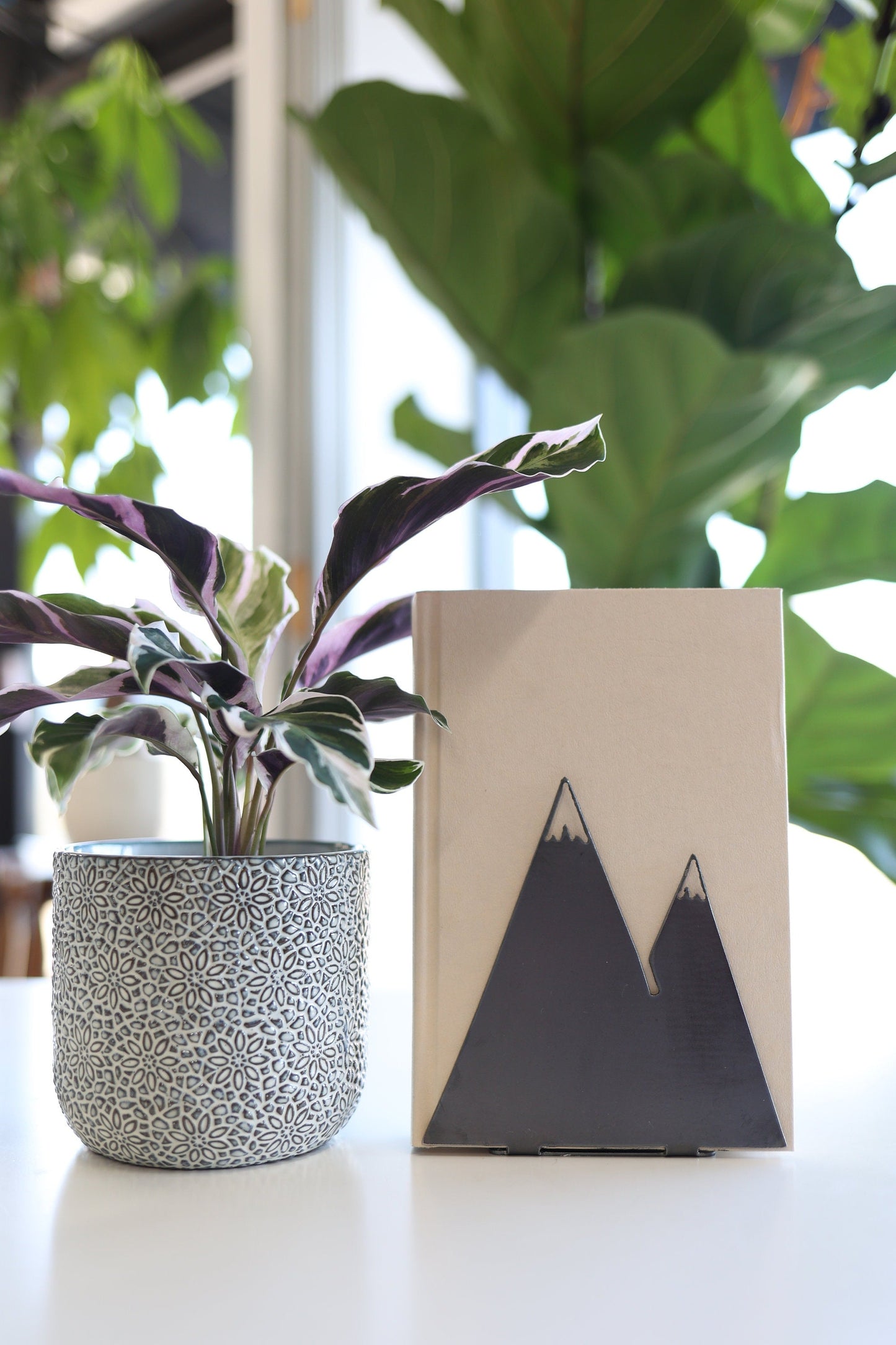 Mountain Bookend –