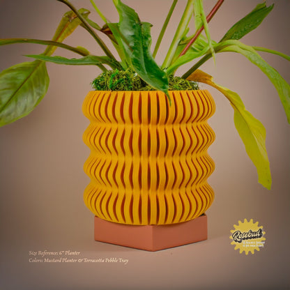 Water Humidity Tray for Houseplants, Includes Pebbles –