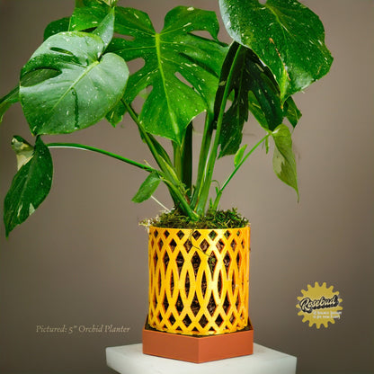 Water Humidity Tray for Houseplants, Includes Pebbles –