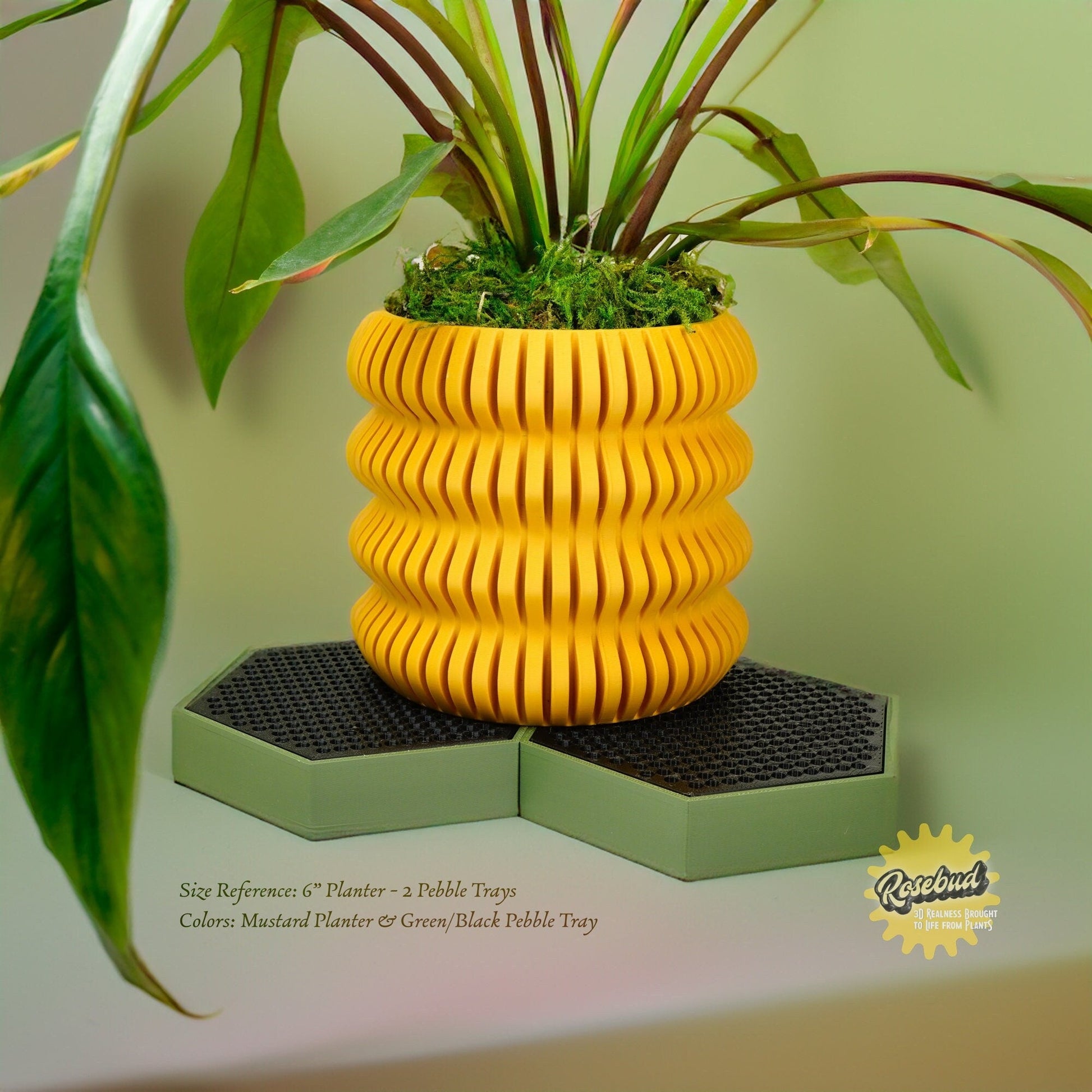 Water Humidity Tray for Houseplants, Includes Pebbles –