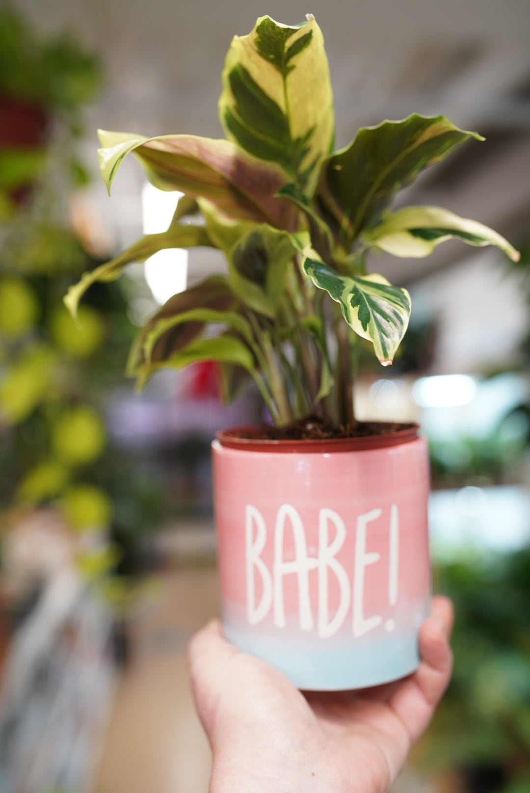 Babe! 4-Inch Planter | Cute Gift for Plant Lovers