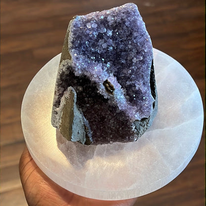 Selenite Charging Plate – Polished Crystal Disk for Cleansing & Energy Work