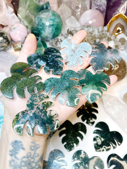 Moss Agate Monstera Leaf –