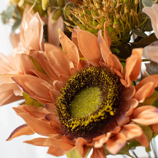 Peach Blush Sunflower Seeds – Soft, Warm-Toned Blooms for Gardens & Bouquets
