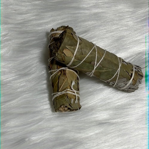 Bay Leaves Smudging Sticks - 4" Sustainably Harvested