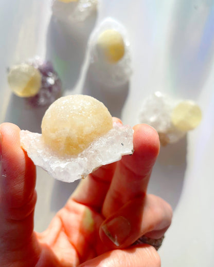 Rare Botryoidal Fluorite on Quartz “Fried Egg” –