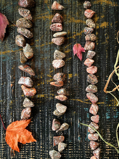 Leopard Skin Jasper - Tumbled