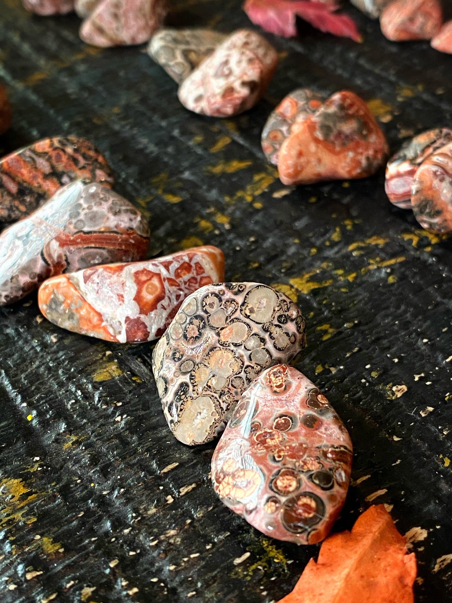 Leopard Skin Jasper - Tumbled