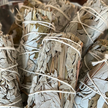 White Sage, Lemongrass & Citronella Smudge Bundles – 4" - Native-Owned, Sustainably Harvested
