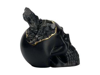 Black Tourmaline Skull Head (black) – Sculptures & Statues