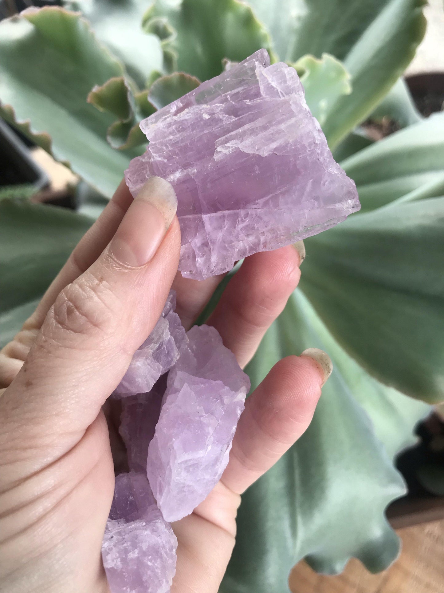 Pink Kunzite – Crystal of Divine Love, Protection & Prosperity