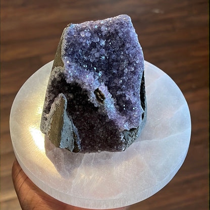 Selenite Charging Plate – Polished Crystal Disk for Cleansing & Energy Work