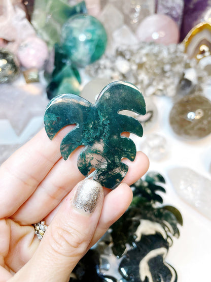 Moss Agate Monstera Leaf –