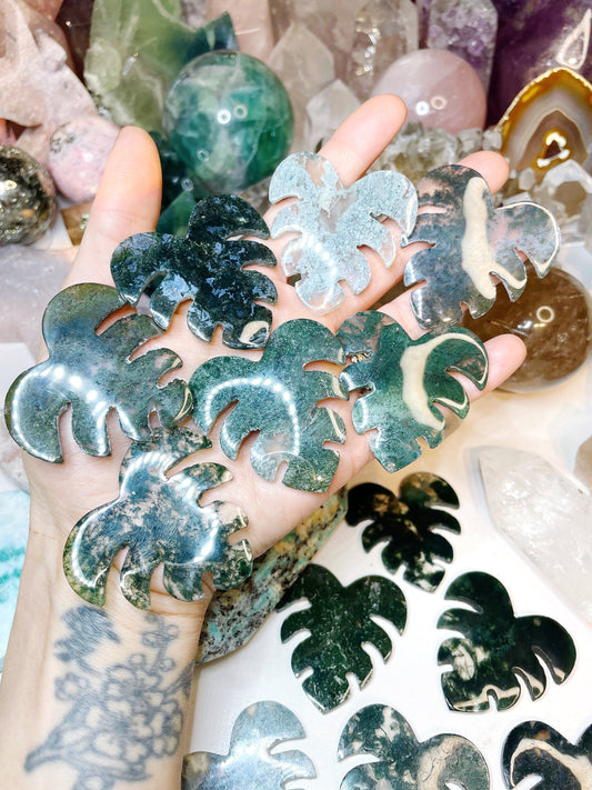 Moss Agate Monstera Leaf –