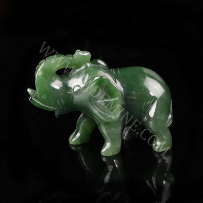 Elephant, Trunk up –