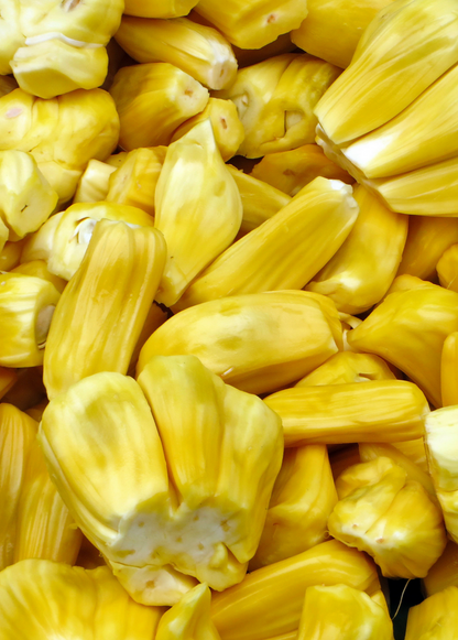 Jackfruit 'Black Gold' (Artocarpus heterophyllus)
