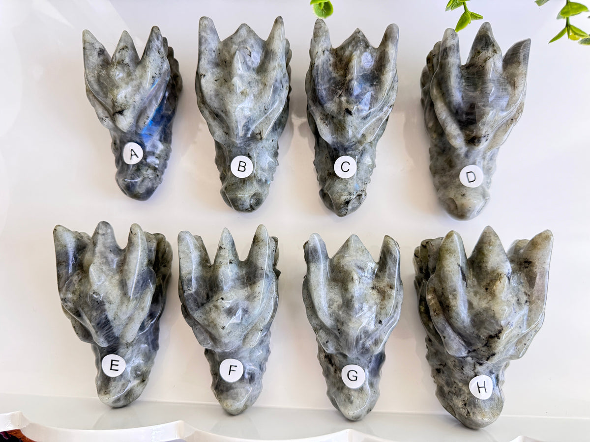Labradorite Dragon Skull Carving (G) – 4.25 Inches