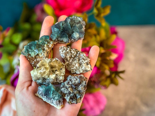 RARE Lady Annabella Fluorite Clusters, Green Purple Yellow and Clear Fluorite, CLOSED Mine! – 50-74 grams
