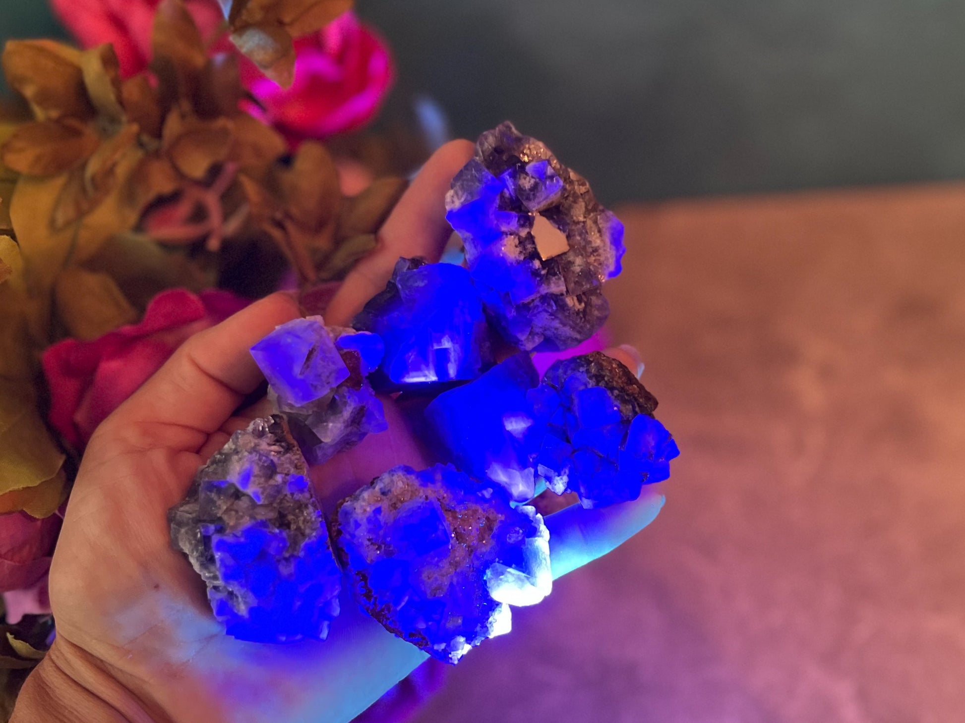 RARE Lady Annabella Fluorite Clusters, Green Purple Yellow and Clear Fluorite, CLOSED Mine! –