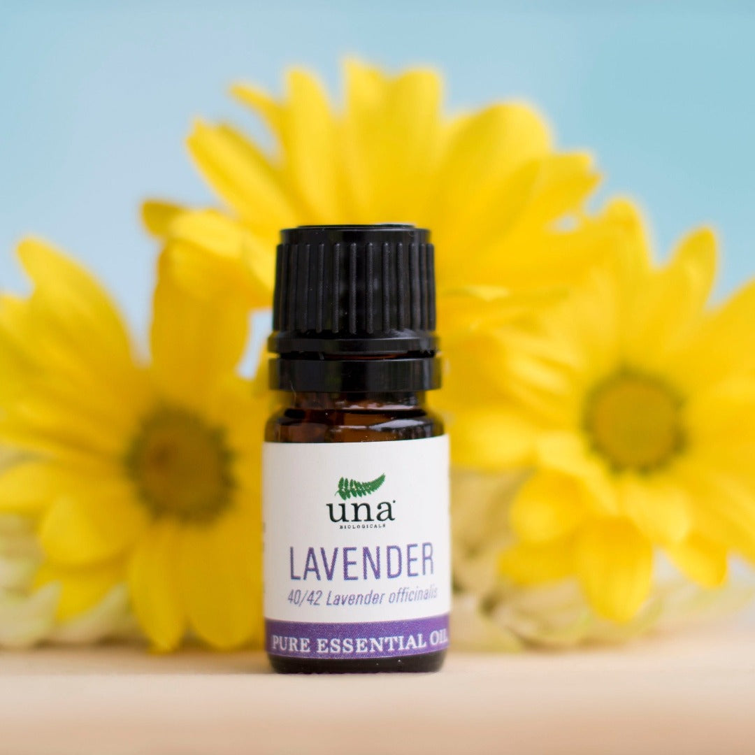 Lavender Essential Oil | Pure Essential Oil | Una Biologicals – Essential Oil