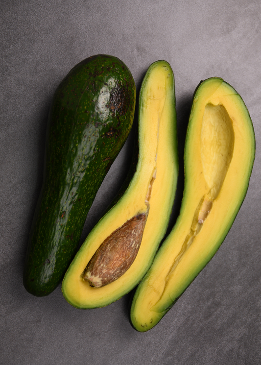 Avocado 'Russell' (Long Neck!) (Persia americana)