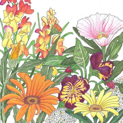 Low Growing Wildflower Mix (1/4 lb) – Flower Seeds