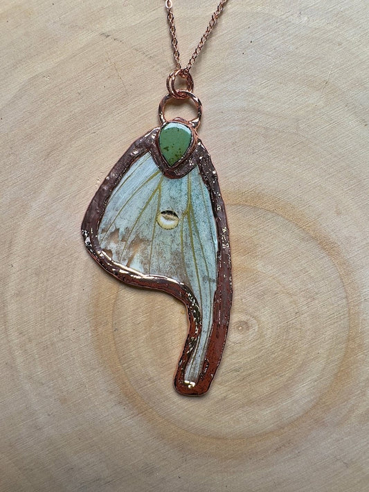 Luna Moth Wing and Turquoise Necklace