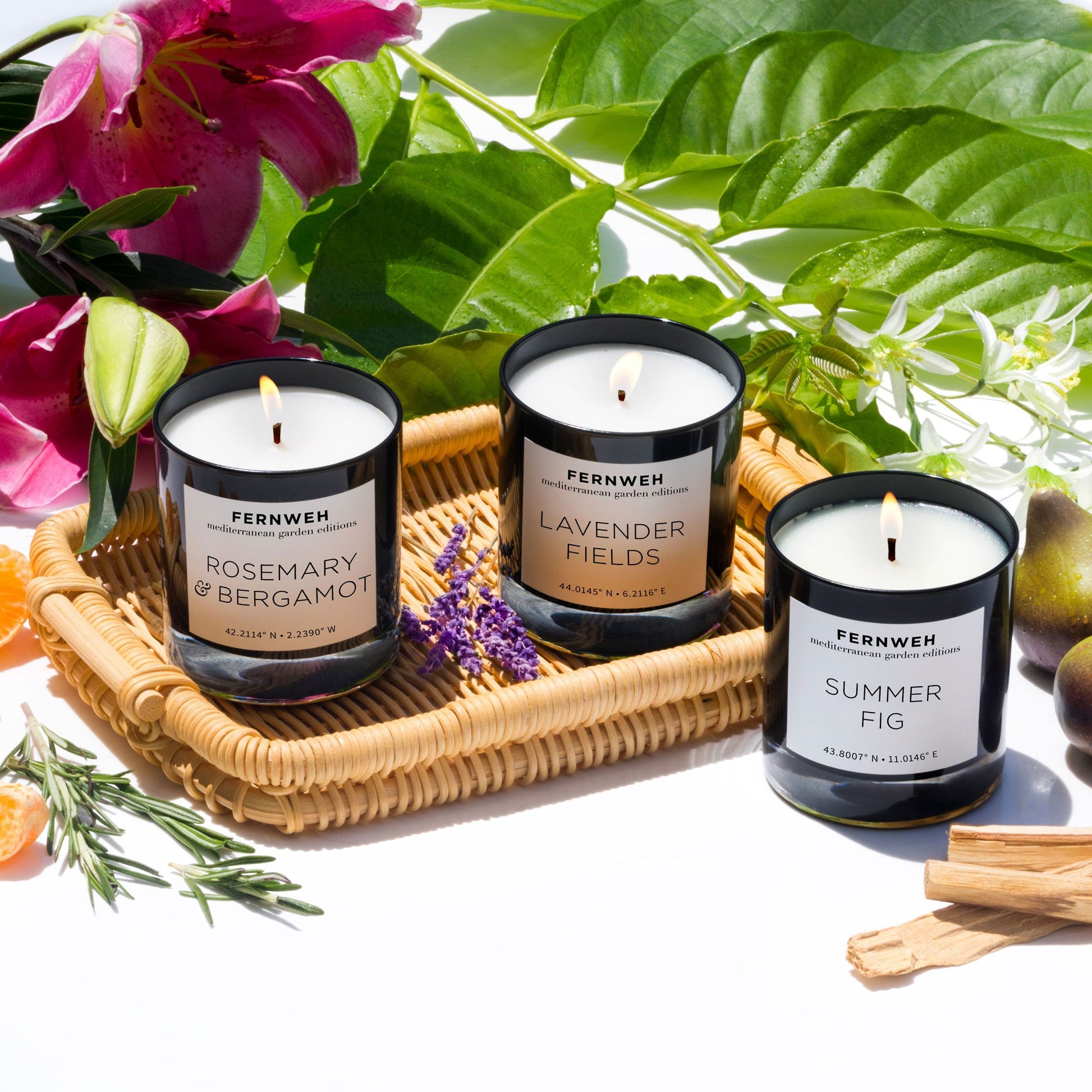 Lavender Fields Scented Soy Candle – 3 Classic Set Mediterranean Garden