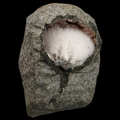 Mesolite Inside MM Quartz Geode Natural Mineral Specimen # B 6591 – Mesolite