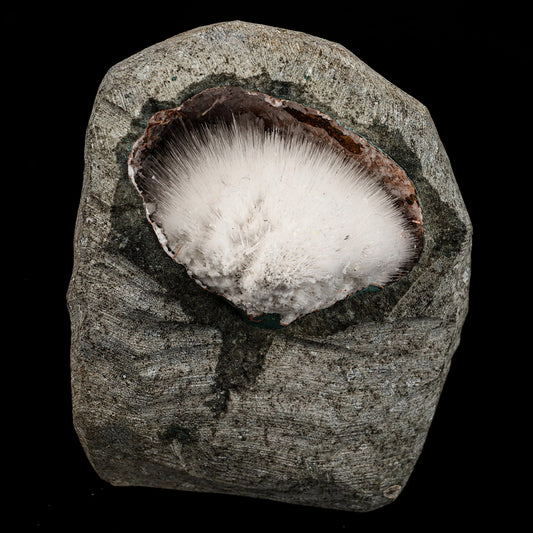 Mesolite Inside MM Quartz Geode Natural Mineral Specimen # B 6591 – Mesolite