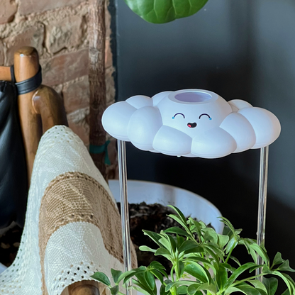 Misty Cloud Plant Waterer - Rain Cloud Planter – House Plant Accessory